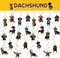 24 Pcs Dachshund Hanging Decorations Dachshund Hanging Swirls Ceiling Swirls Dachshund Birthday Party Supplies for Dachshund Party Decorations Funny Dog Decorations